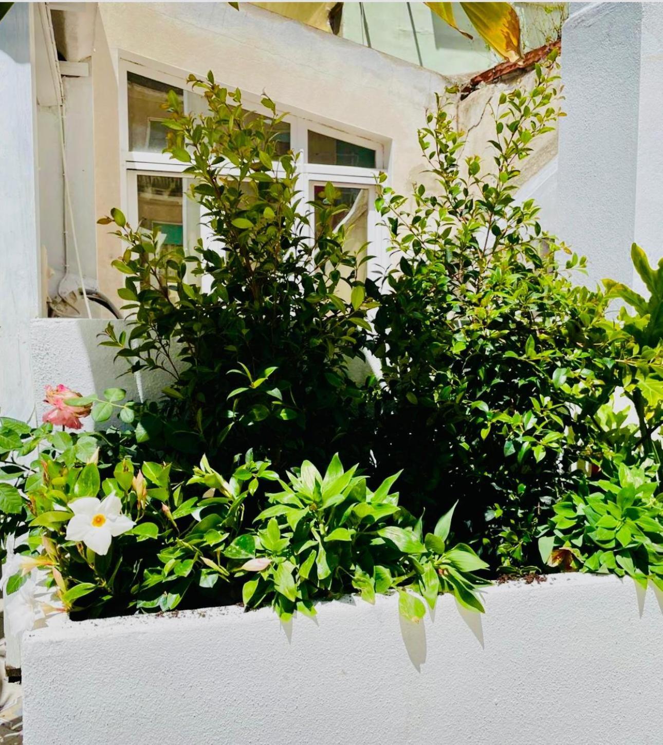 Apartamento Le Paris Cagliari